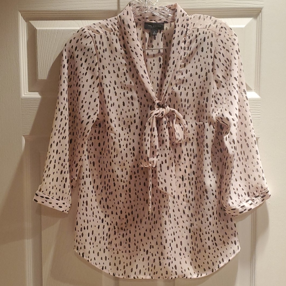 THE LIMITED Light Pink Sheer Blouse